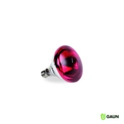 Gaun Ampoule Infrarouge PAR 100W