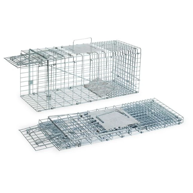 Cage Piège Anti Nuisible Poule Pliable Une Entrée - Gaun 1 Cage Piège Anti Nuisible Poule Pliable Une Entrée - Gaun