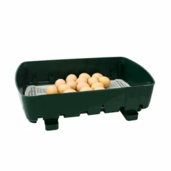 Couveuse Semi-automatique Digitale Poule ET 24 Capacité 24 œufs - River Systems -Chemin Des Poulaillers Boutique 524 incubatrice digitale et 24 griglia schiusa
