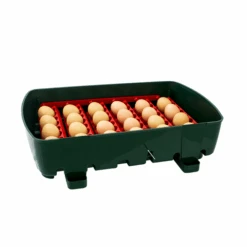 Couveuse Semi-automatique Digitale Poule ET 24 Capacité 24 œufs - River Systems -Chemin Des Poulaillers Boutique 524 incubatrice digitale et 24 vassoio porta uova