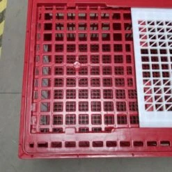 Cage Transport Grandes Volailles 96x57x42cm 3 Portes Rouge Et Blanche -Chemin Des Poulaillers Boutique cage transport grandes volailles 96x57x42 aytav detail