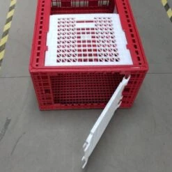 Cage Transport Grandes Volailles 96x57x42cm 3 Portes Rouge Et Blanche -Chemin Des Poulaillers Boutique cage transport grandes volailles 96x57x42 aytav detail cote ouverte