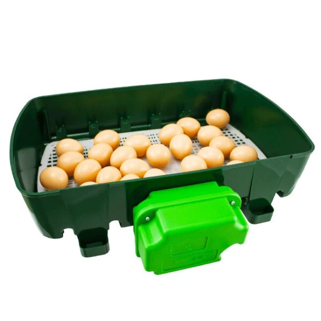 Couveuse Automatique Digitale Poule ET 24 Capacité 24 œufs - River Systems 6 Couveuse Automatique Digitale Poule ET 24 Capacité 24 œufs - River Systems – Image 6