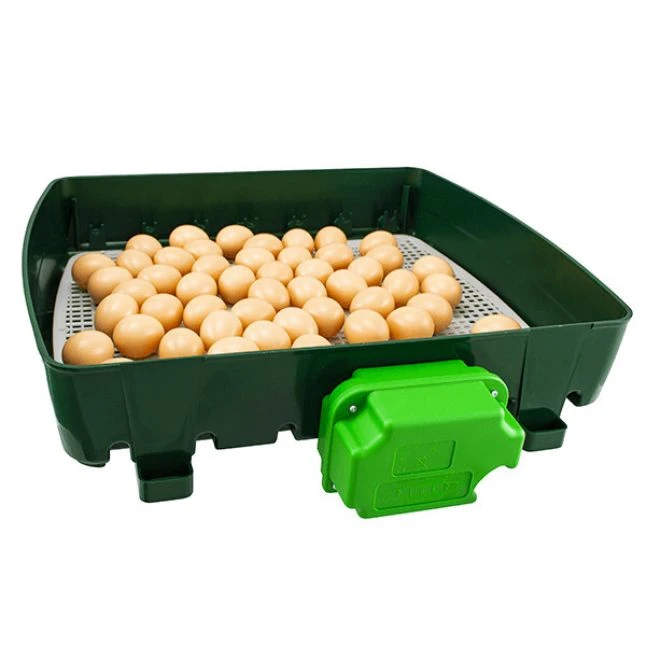 Couveuse Automatique Digitale Poule ET 49 Capacité 49 œufs - River Systems 6 Couveuse Automatique Digitale Poule ET 49 Capacité 49 œufs - River Systems – Image 6