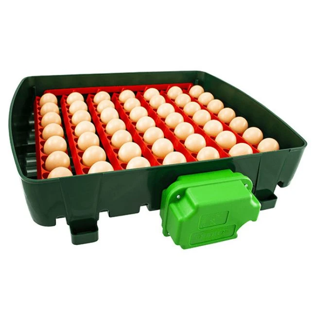 Couveuse Automatique Digitale Poule ET 49 Capacité 49 œufs - River Systems 3 Couveuse Automatique Digitale Poule ET 49 Capacité 49 œufs - River Systems – Image 3