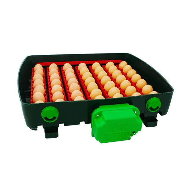 Couveuse Automatique Digitale Poule ET Super Capacité 49 œufs - River Systems 6 Couveuse Automatique Digitale Poule ET Super Capacité 49 œufs - River Systems – Image 6