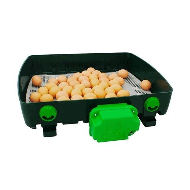 Couveuse Automatique Digitale Poule ET Super Capacité 49 œufs - River Systems 7 Couveuse Automatique Digitale Poule ET Super Capacité 49 œufs - River Systems – Image 7