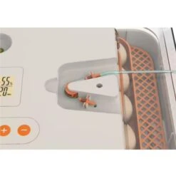 Couveuse Automatique Digitale Poule Dual Power Capacité 56 œufs - HHD -Chemin Des Poulaillers Boutique couveuse wonegg dual power 56 oeufs hhd detail