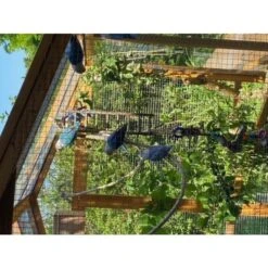 Grand Parc Grillagé Pour Poulailler Vorwerk -Chemin Des Poulaillers Boutique extension poulailler gournay ame2