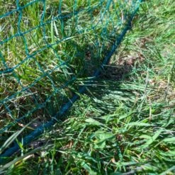 Filet Poule Grande Hauteur Double Pointe 25m X 1,26m - Zen Farm 31 Filet Poule Grande Hauteur Double Pointe 25m X 1,26m - Zen Farm -Chemin Des Poulaillers Boutique filet poule zen farm 126cm 15m bas de filet 1