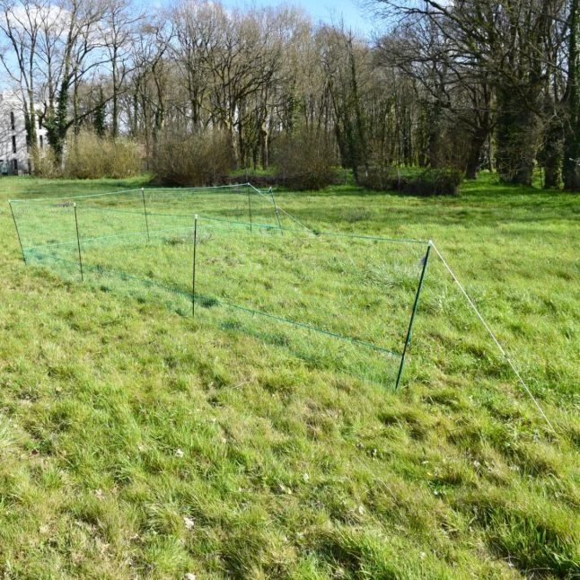 Filet Poule Grande Hauteur Double Pointe 25m X 1,26m - Zen Farm 2 Filet Poule Grande Hauteur Double Pointe 25m X 1,26m - Zen Farm – Image 2