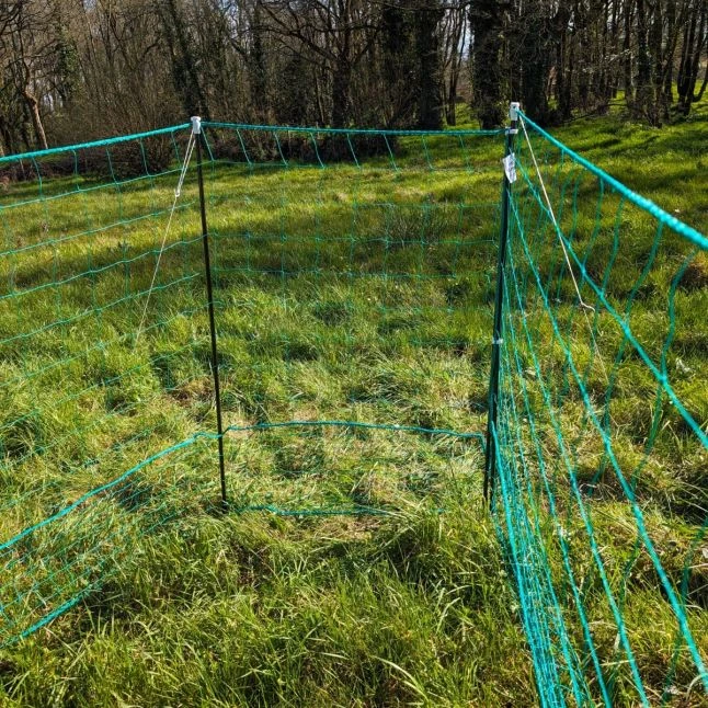 Filet Poule Grande Hauteur Double Pointe 25m X 1,26m - Zen Farm 3 Filet Poule Grande Hauteur Double Pointe 25m X 1,26m - Zen Farm – Image 3