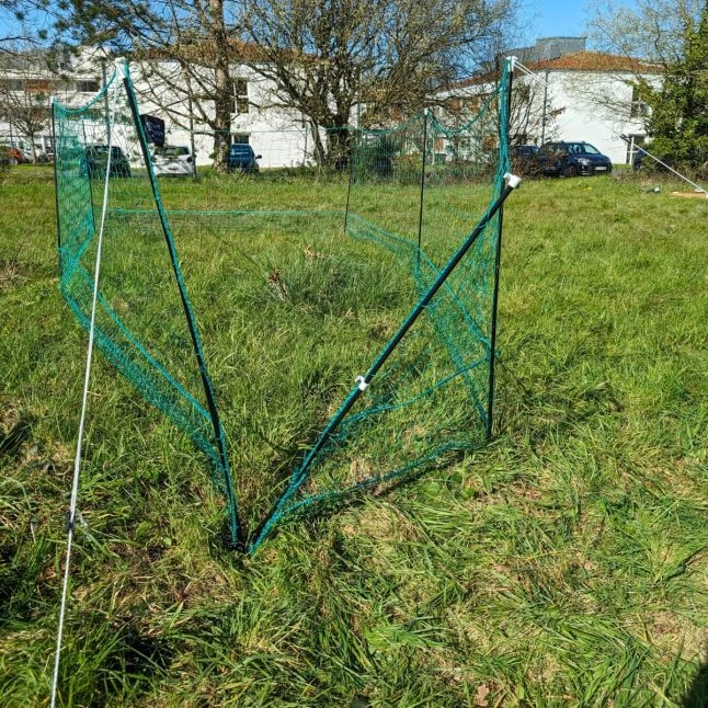 Filet Poule Grande Hauteur Double Pointe 25m X 1,26m - Zen Farm 6 Filet Poule Grande Hauteur Double Pointe 25m X 1,26m - Zen Farm – Image 6