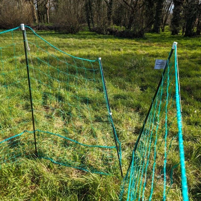 Filet Poule Grande Hauteur Double Pointe 25m X 1,26m - Zen Farm 5 Filet Poule Grande Hauteur Double Pointe 25m X 1,26m - Zen Farm – Image 5