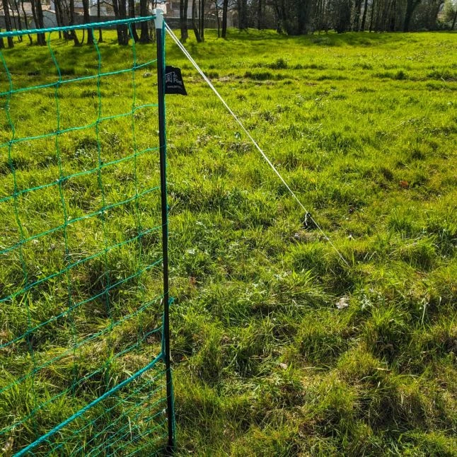 Filet Poule Grande Hauteur Double Pointe 25m X 1,26m - Zen Farm 20 Filet Poule Grande Hauteur Double Pointe 25m X 1,26m - Zen Farm – Image 20