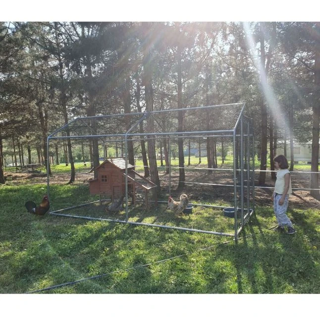 Enclos Poulailler 8m² Tubes 32mm H2,25m - Parc Grillagé Renforcé 4x2m - Acier Galvanisé 4 Enclos Poulailler 8m² Tubes 32mm H2,25m - Parc Grillagé Renforcé 4x2m - Acier Galvanisé – Image 4