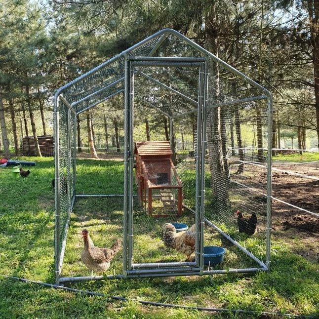 Enclos Poulailler 8m² Tubes 32mm H2,25m - Parc Grillagé Renforcé 4x2m - Acier Galvanisé 5 Enclos Poulailler 8m² Tubes 32mm H2,25m - Parc Grillagé Renforcé 4x2m - Acier Galvanisé – Image 5
