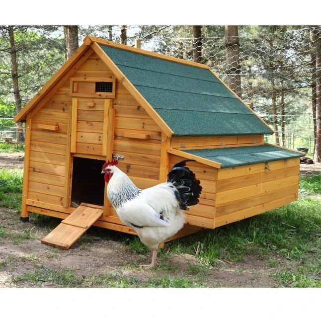 Toit De Poulailler Pour Cémani XXL 15 à 18 Poules Vert 2 Toit De Poulailler Pour Cémani XXL 15 à 18 Poules Vert – Image 2