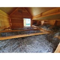 Poulailler Cémani XXL Toit Shingle Noir 15 à 18 Poules 18 Poulailler Cémani XXL Toit Shingle Noir 15 à 18 Poules -Chemin Des Poulaillers Boutique grand poulailler bassette xxl 15 18 poules vue face interieur 1 1