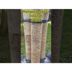 Mangeoire Pour Poule En Plastique Vert Tube Transparent 7kg Prima - Evena -Chemin Des Poulaillers Boutique hqdefault 3 7