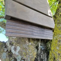 Nichoir Chauve-souris Bois FSC Grande Taille -Chemin Des Poulaillers Boutique maison chauve souris grande d tail entr 2