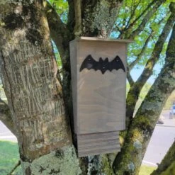 Nichoir Chauve-souris Bois FSC Petite Taille