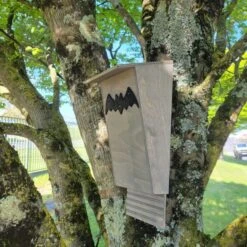 Nichoir Chauve-souris Bois FSC Petite Taille -Chemin Des Poulaillers Boutique maison chauve souris petite vue c t