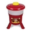 Mangeoire à Trémie Poule En Plastique Avec Pieds Imperial Easy Clean 30L Rouge Et Blanc - Gaun