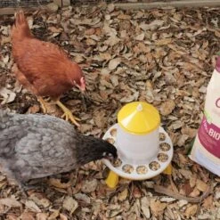 Gaun Mangeoire Poule à Pieds En Bioplastique Végétal Eco 2Kg -Chemin Des Poulaillers Boutique mangeoire bioplastique avec pieds 2 kg