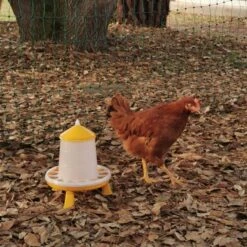 Gaun Mangeoire Poule à Pieds En Bioplastique Végétal Eco 2Kg -Chemin Des Poulaillers Boutique mangeoire poule bioplastique avec poule