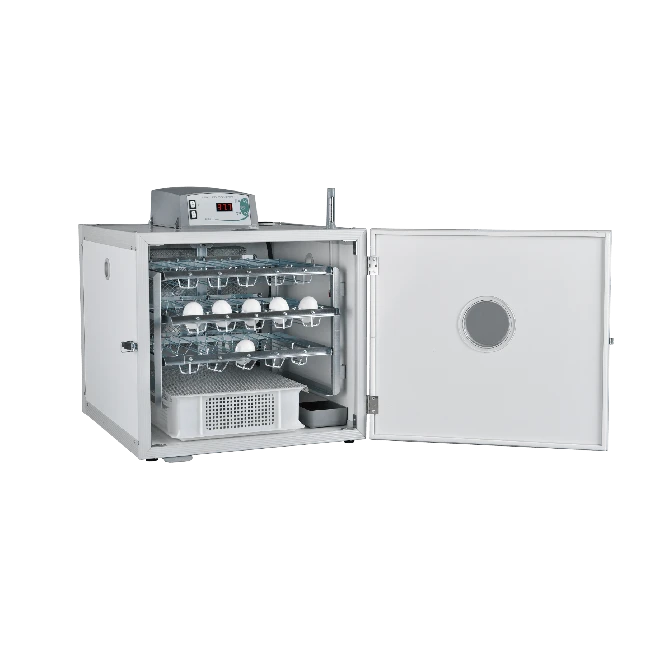 Couveuse Automatique Digitale Poule MG 100/150 B.Family Mini LED PVC 105 œufs - FIEM 1 Couveuse Automatique Digitale Poule MG 100/150 B.Family Mini LED PVC 105 œufs - FIEM