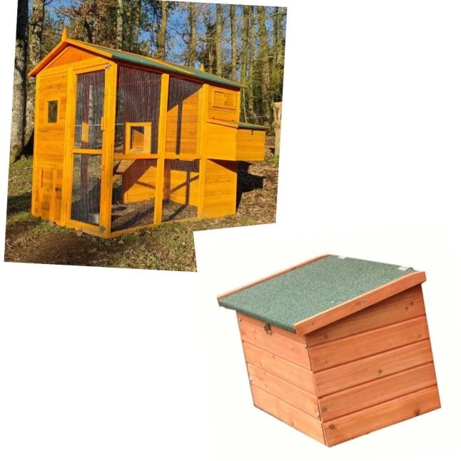 Poulailler Gaulois II Toit Shingle 6 à 10 Poules Avec Deux Pondoirs 1 Poulailler Gaulois II Toit Shingle 6 à 10 Poules Avec Deux Pondoirs