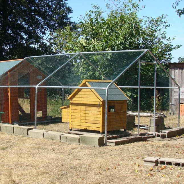 Poulailler Cémani L Toit Shingle Vert 4 à 6 Poules 6 Poulailler Cémani L Toit Shingle Vert 4 à 6 Poules – Image 6