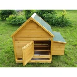 Poulailler Cémani L Toit Shingle Vert 4 à 6 Poules 8 Poulailler Cémani L Toit Shingle Vert 4 à 6 Poules -Chemin Des Poulaillers Boutique poulailler cemani vue arriere ouvert