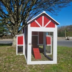 Poulailler Deluxe Rouge Toit Shingle Vert 10 à 12 Poules V3.0 -Chemin Des Poulaillers Boutique poulailler deluxe rouge toit vert 12 poules vue face ferme