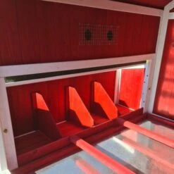 Poulailler Deluxe Rouge Toit Shingle Vert 10 à 12 Poules V3.0 -Chemin Des Poulaillers Boutique poulailler deluxe rouge toit vert 12 poules vue interieure perchoirs pondoirs