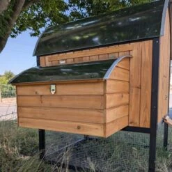 Pondoir Pour Poulailler Finlandais