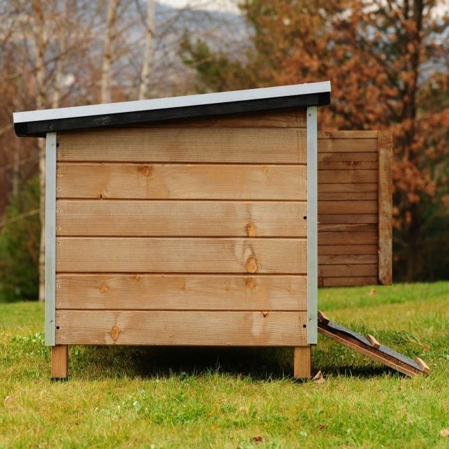 Poulailler Houdan XL Toit Shingle Noir 6 Poules Epicéa FSC 3 Poulailler Houdan XL Toit Shingle Noir 6 Poules Epicéa FSC – Image 3