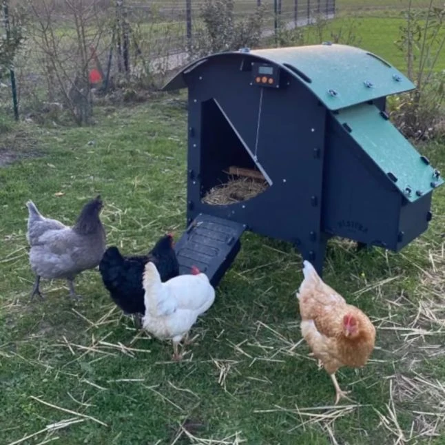 Poulailler Nestera Sur Pieds Taille S Plastique Recyclé 3 à 5 Poules Avec Portier Automatique Autonome Zen Farm 4 Poulailler Nestera Sur Pieds Taille S Plastique Recyclé 3 à 5 Poules Avec Portier Automatique Autonome Zen Farm – Image 4