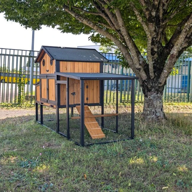 Poulailler Padoue Châssis Acier Toit Shingle 6 à 8 Poules Avec Parc Grillagé 2 Poulailler Padoue Châssis Acier Toit Shingle 6 à 8 Poules Avec Parc Grillagé – Image 2