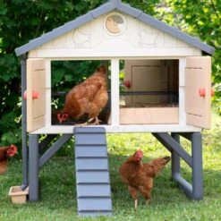 Poulailler Made In Jura Plastique 4 à 5 Poules - Smoby -Chemin Des Poulaillers Boutique poulailler plastique mij smoby face poules