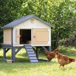 Poulailler Made In Jura Plastique 4 à 5 Poules - Smoby -Chemin Des Poulaillers Boutique poulailler plastique mij smoby face poules installe