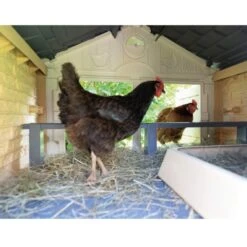 Poulailler Made In Jura Plastique 4 à 5 Poules - Smoby -Chemin Des Poulaillers Boutique poulailler plastique mij smoby interieur