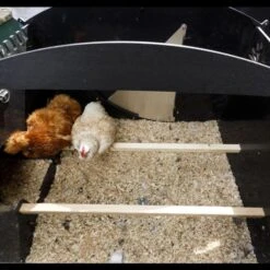 Poulailler Nestera Sur Pieds Taille L Plastique Recyclé 8 à 15 Poules -Chemin Des Poulaillers Boutique poulailler plastique recycle nestera l interieur