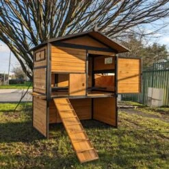 Poulailler Vorwerk Toit Shingle 10 à 12 Poules 18 Poulailler Vorwerk Toit Shingle 10 à 12 Poules -Chemin Des Poulaillers Boutique poulailler vorwerck tout ouverty