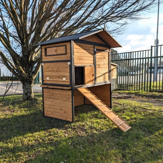 Poulailler Vorwerk Toit Shingle 10 à 12 Poules 3 Poulailler Vorwerk Toit Shingle 10 à 12 Poules – Image 3