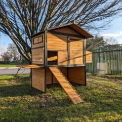 Poulailler Vorwerk Toit Shingle 10 à 12 Poules 17 Poulailler Vorwerk Toit Shingle 10 à 12 Poules -Chemin Des Poulaillers Boutique poulailler vorwerck vue tout ouvert