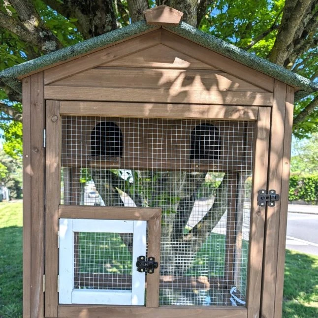 Volière Pour Oiseaux En Bois Double Toit Shingle 5 Volière Pour Oiseaux En Bois Double Toit Shingle – Image 5